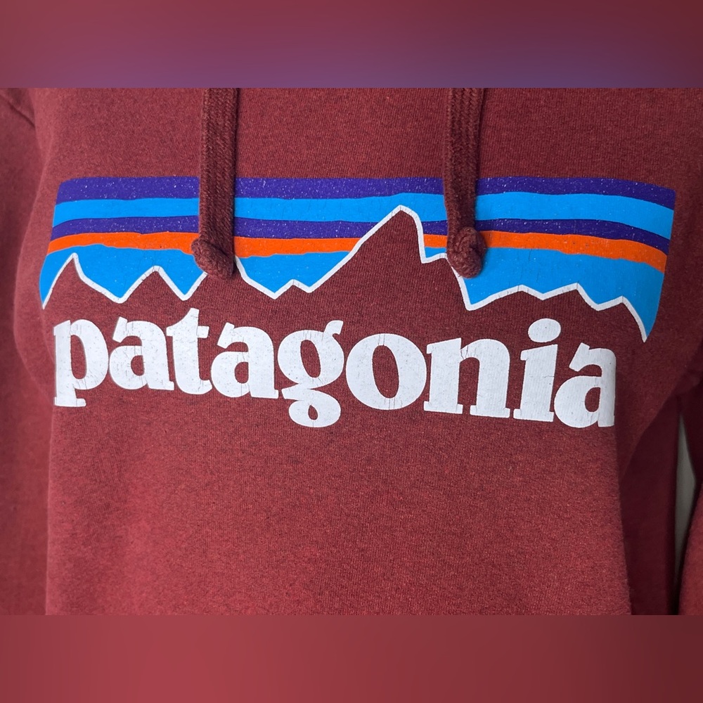 Patagonia Brick Red Hoodie with Logo - Picture 8 of 9